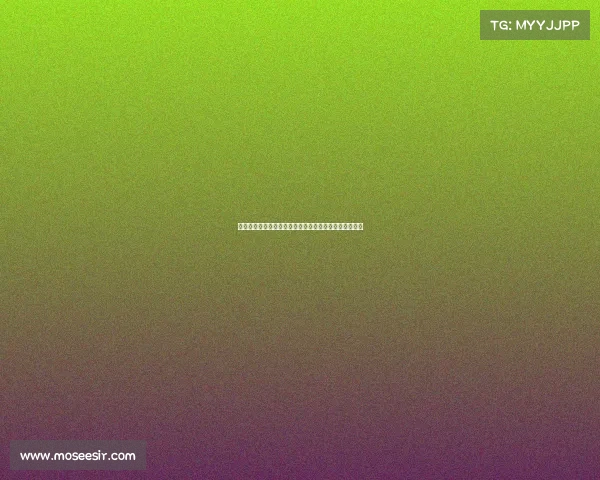 赛后展现大度精神，东契奇与绿军球员互致祝贺冠军荣耀